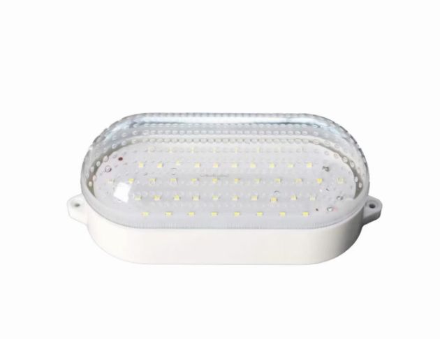 LED cold storage special light (oval shape)