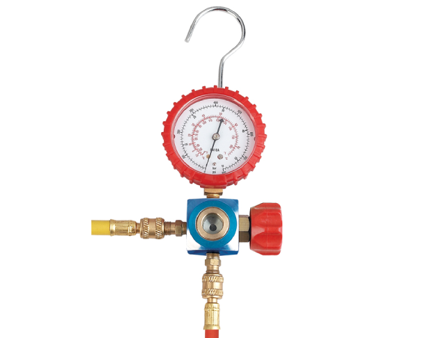 Single Gauge Valve (with Sight Glass)